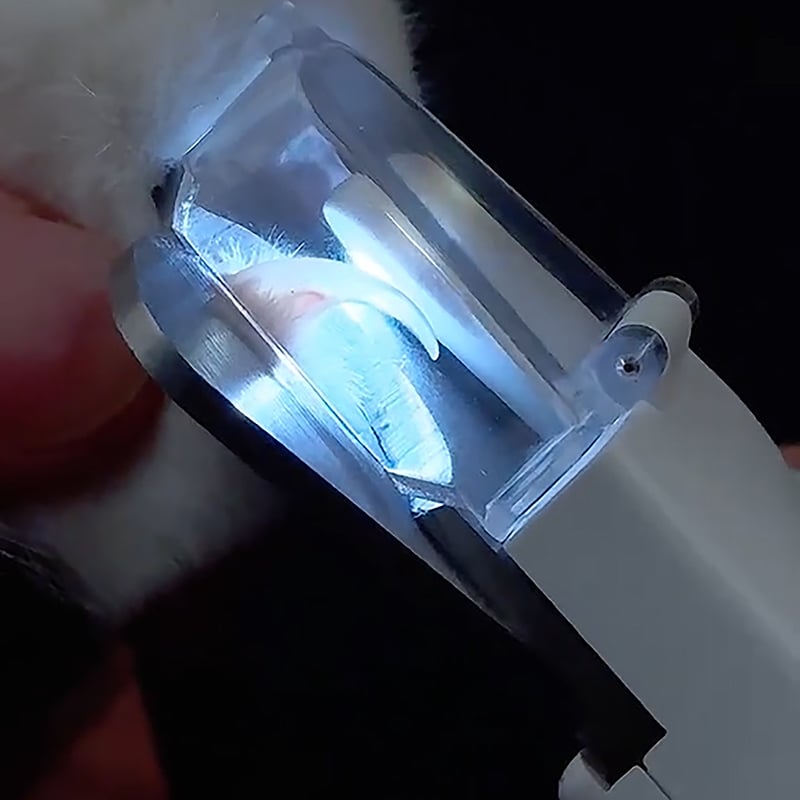 2 in 1 pet nail clippers — — with LED light