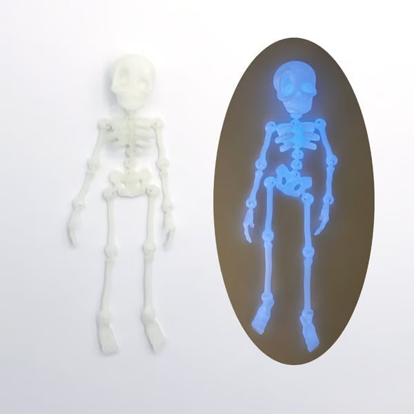 🎃Halloween Hot Sale ✨3D Printed Vintage Skeleton Magnetic Figurine 🎃